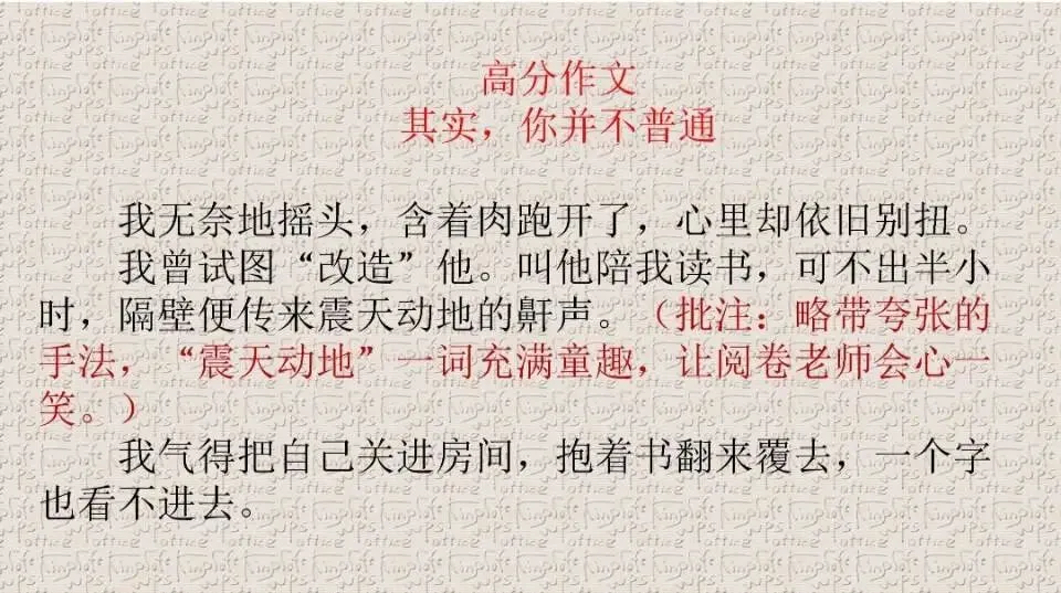 中考亲情类押题作文指导《其实你不普通》 第15张