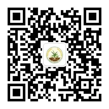 基于英语学习活动观的中考英语阅读复习课教学实践—以“Teenagers' Community Service”主题记叙文阅读为例 第3张