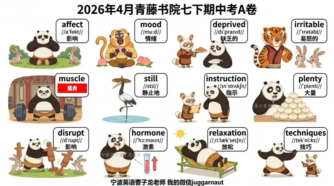 2026年4月惠贞书院八下期中考真题重点单词,希望她进步,内部在读学生我们讲解全卷,分析考点+修改作文 第27张