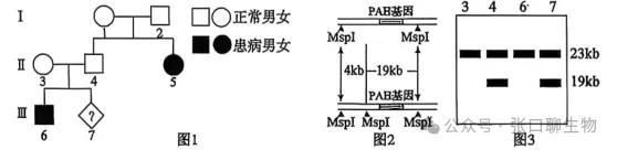 山东省济南市2026届高三第二次模拟考试生物学试题及解析 ⊙ 第4张