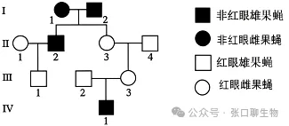 山东省济南市2026届高三第二次模拟考试生物学试题及解析 ⊙ 第6张