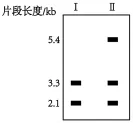 山东省济南市2026届高三第二次模拟考试生物学试题及解析 ⊙ 第10张