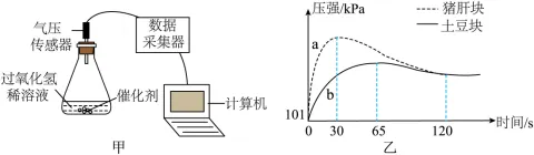 2026年广西初中学业水平考试化学模拟卷(二) 第9张