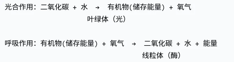 2026湖南中考生物开卷,必考核心笔记 第1张