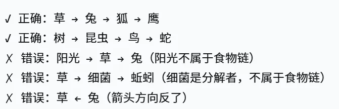2026湖南中考生物开卷,必考核心笔记 第7张