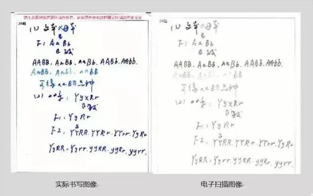 分享给中考考生,避坑! 第2张 分享给中考考生,避坑! 第2张