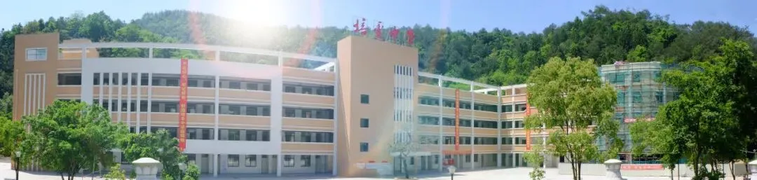 晨光为誓,决战中考! ----培丰中学九年级中考誓师大会燃情举行 第11张