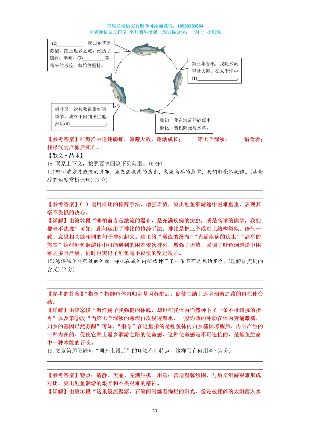 2025重庆南开七下期末语文真题卷 第11张