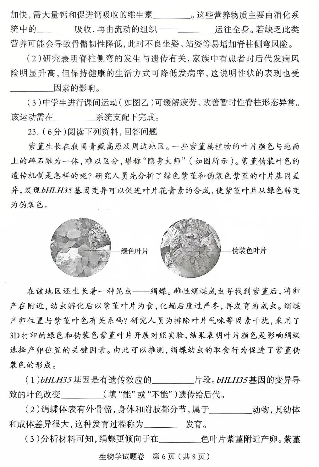 2026郑州地生中考模拟-生物试卷 第6张