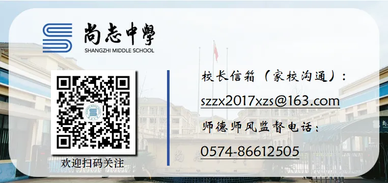 聚焦核心素养,赋能中考冲刺! 第25张