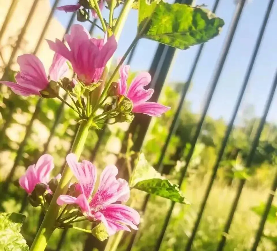 中考作文:启程 第3张