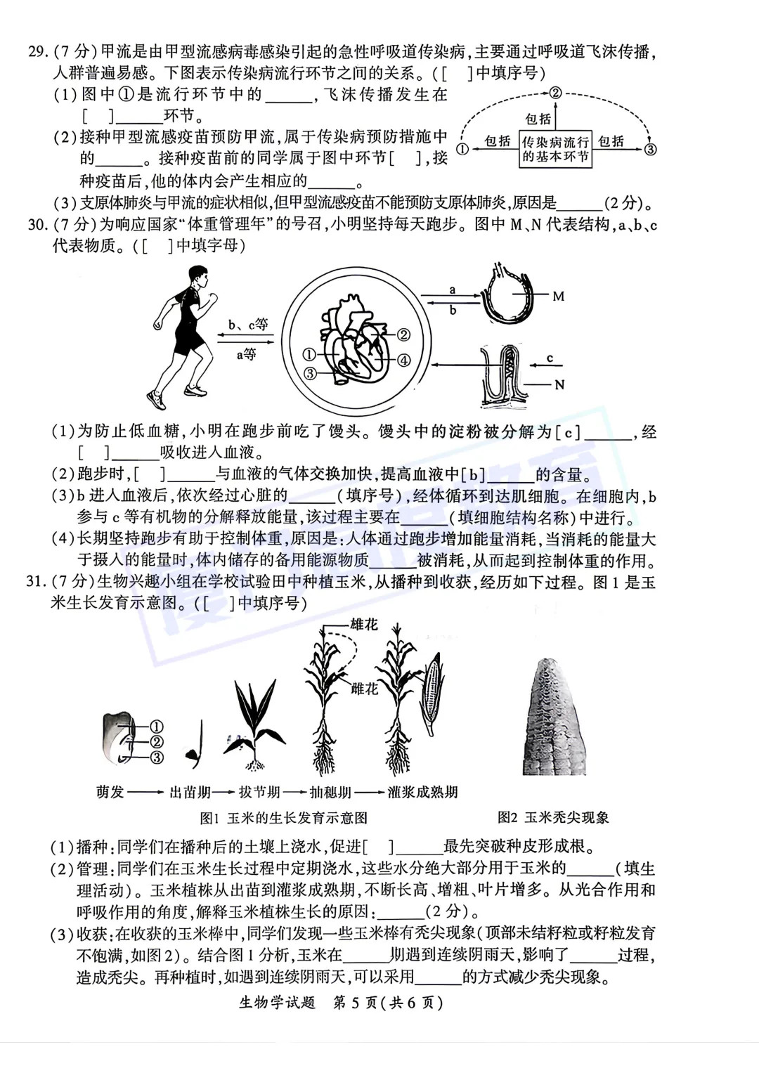 【生地试卷+答案】2026.5厦门中考一模 第6张