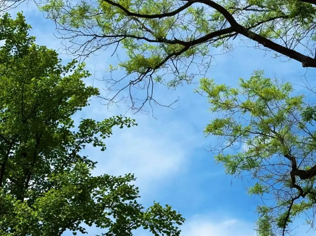 读懂三场模考,方能决胜高考——二模之后,写给考前25天的你:请相信日复一日的力量 第5张