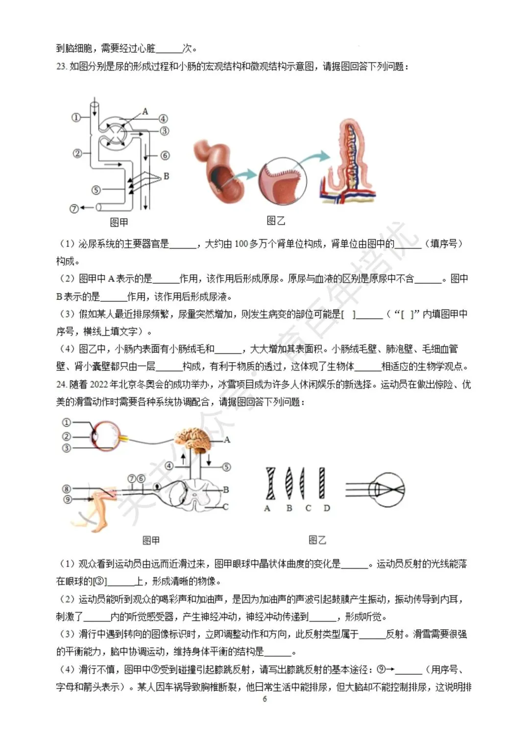 【滕州期末真题】2024年滕州市七年级下学期期末生物真题含答案 第7张