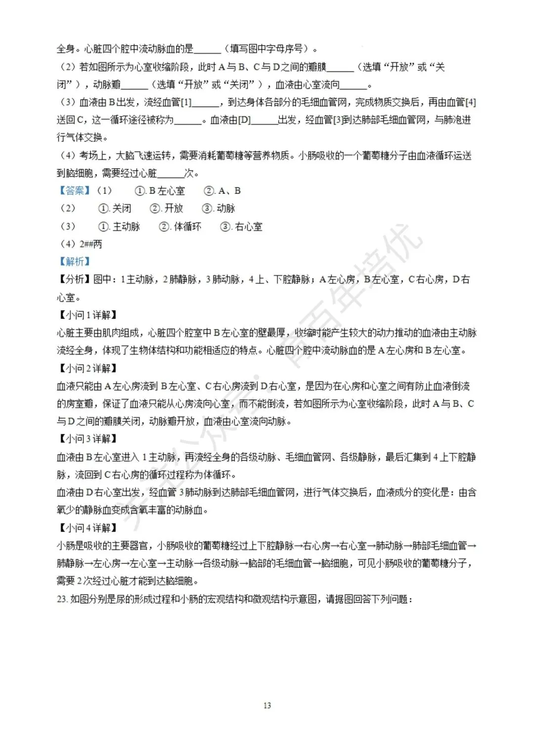 【滕州期末真题】2024年滕州市七年级下学期期末生物真题含答案 第21张