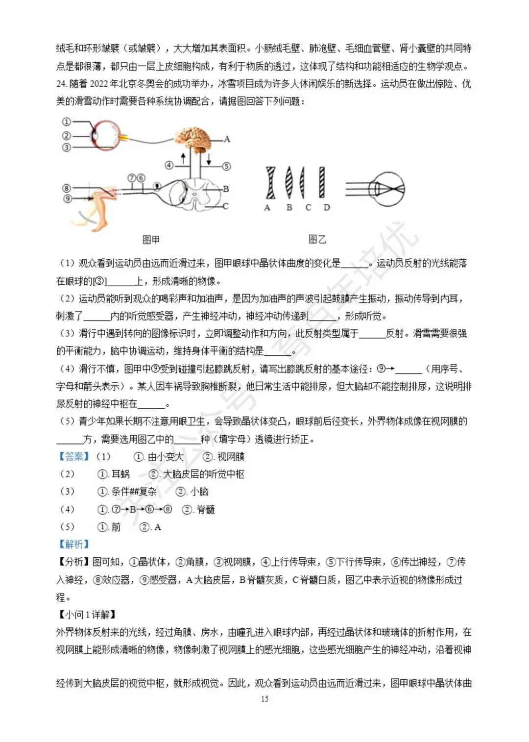 【滕州期末真题】2024年滕州市七年级下学期期末生物真题含答案 第23张