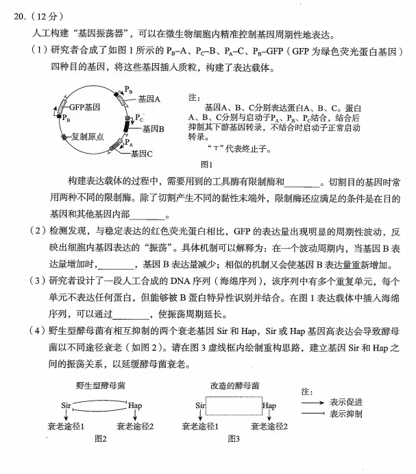 北京海淀区高三二模生物学试卷及答案(2026.5) 第9张