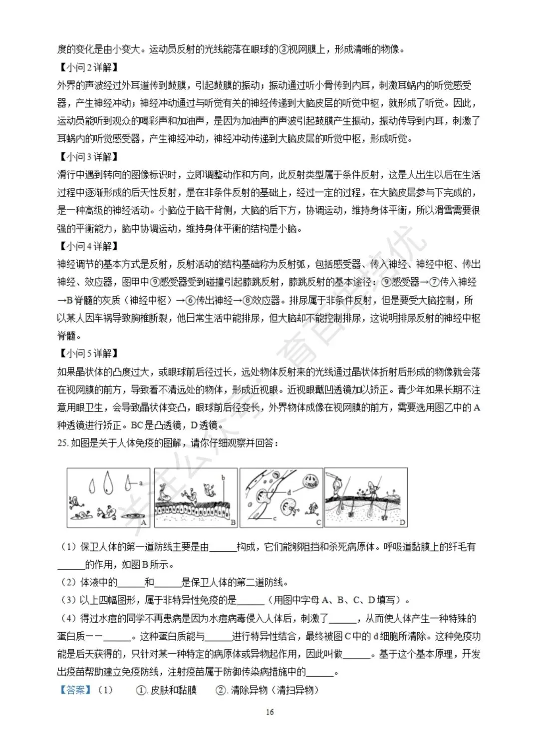 【滕州期末真题】2024年滕州市七年级下学期期末生物真题含答案 第24张