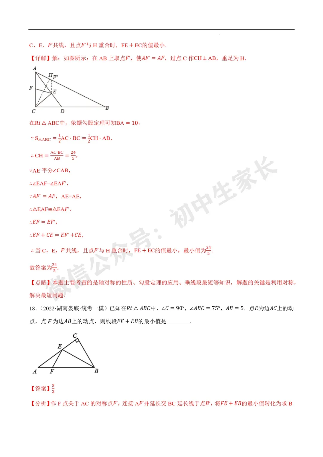 2026年中考数学几何最值问题重点题型汇编(全国通用),可打印! 第37张