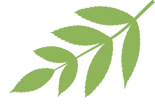 【明珠指南】渭塘中学珍珠少年中考加油站——2026年苏州市初中毕业生体育考前提醒 第22张
