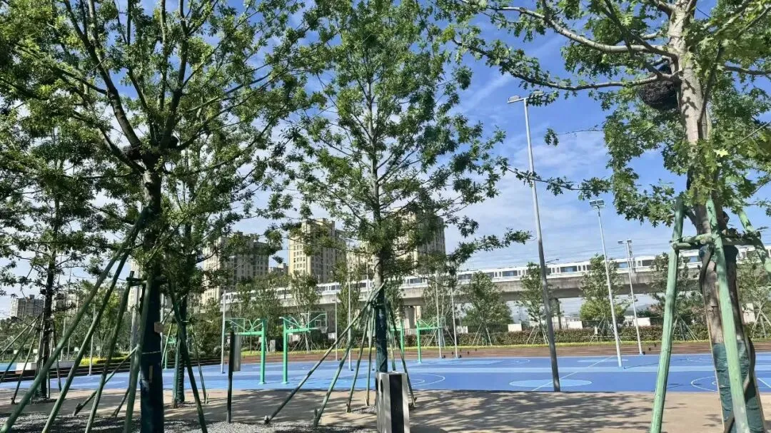 【宁波中考】最新重高普高校园开放日信息合集(附官方招生内幕消息-5.10版) 第12张