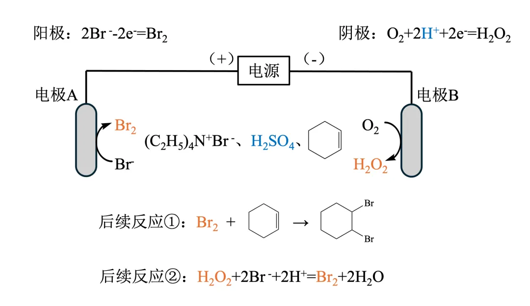 电化学真题梳理 | 浙江卷+福建卷:从电极反应→后续的协同反应 第2张 电化学真题梳理 | 浙江卷+福建卷:从电极反应→后续的协同反应 第2张