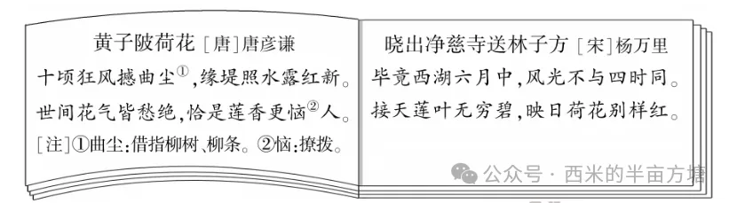 【冲刺26中考】2025年福建中考语文试卷(含答案)抓紧练! 第2张