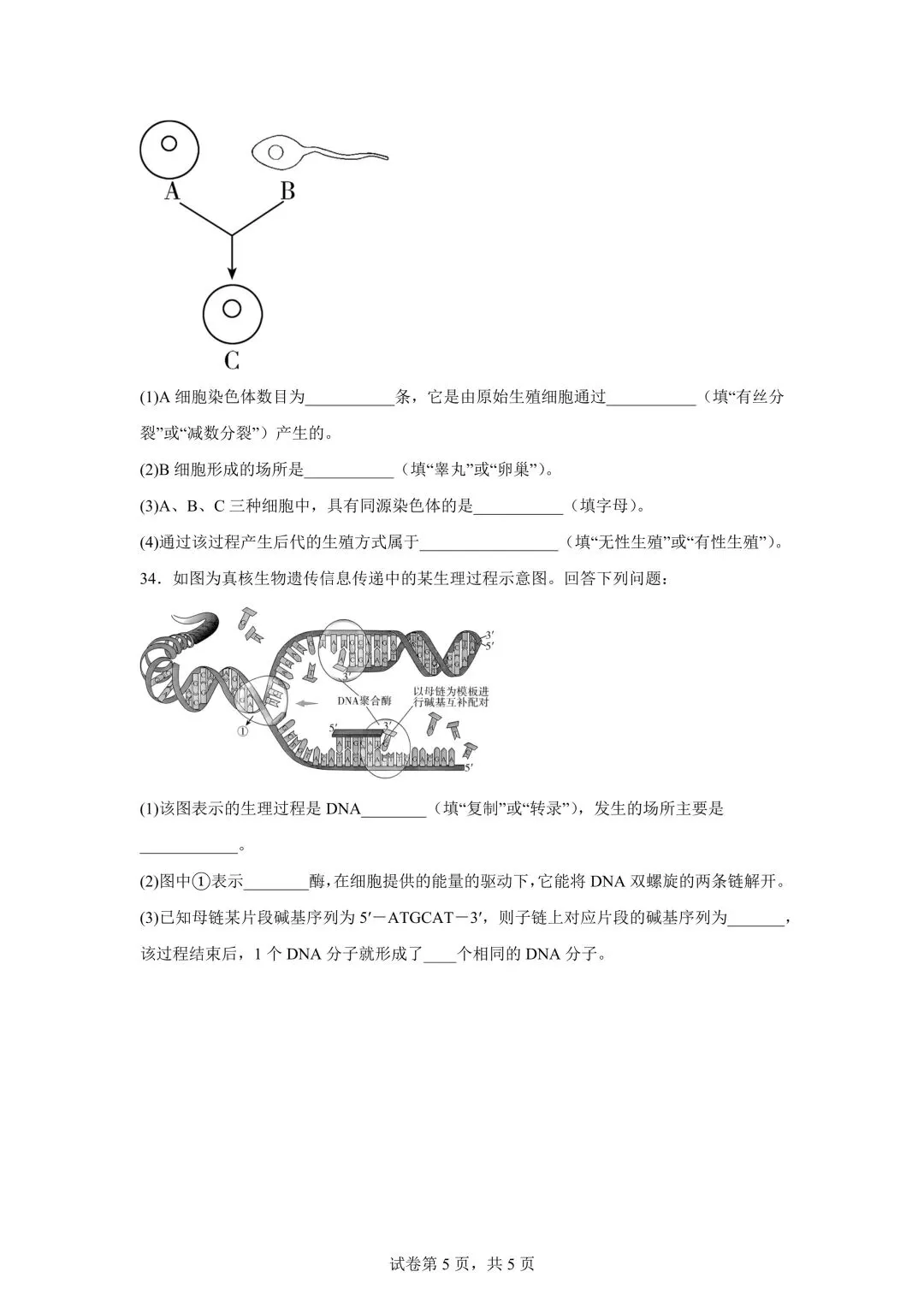 湖南高中学考九科试卷 | 带答案 第59张