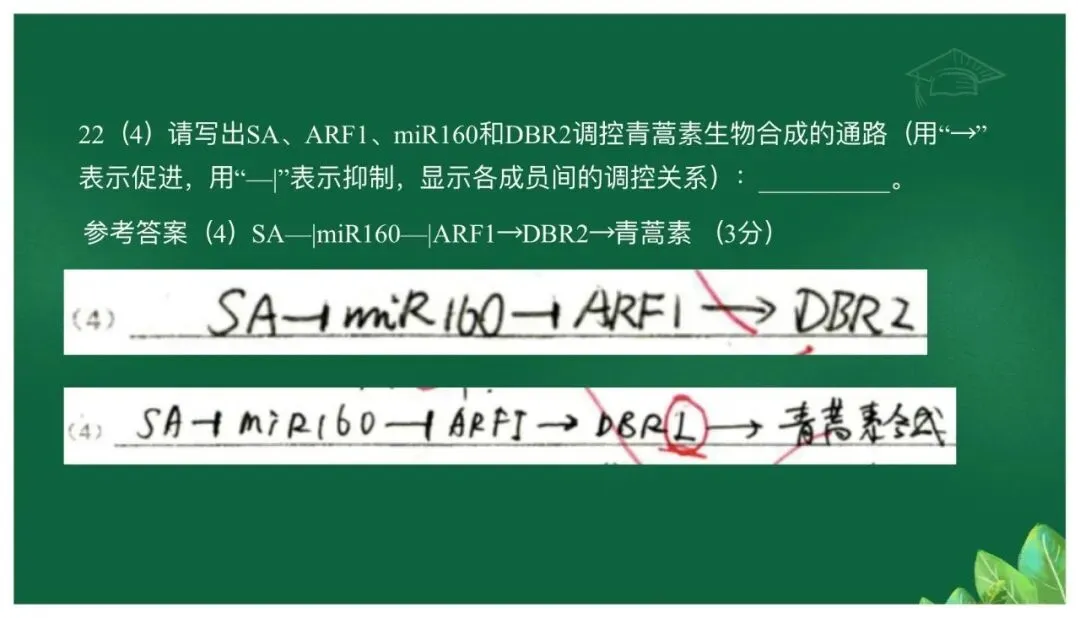 高考备考|立足真题精研细悟,科学引领备考方向——基于高考真题研究的备考策略 第40张