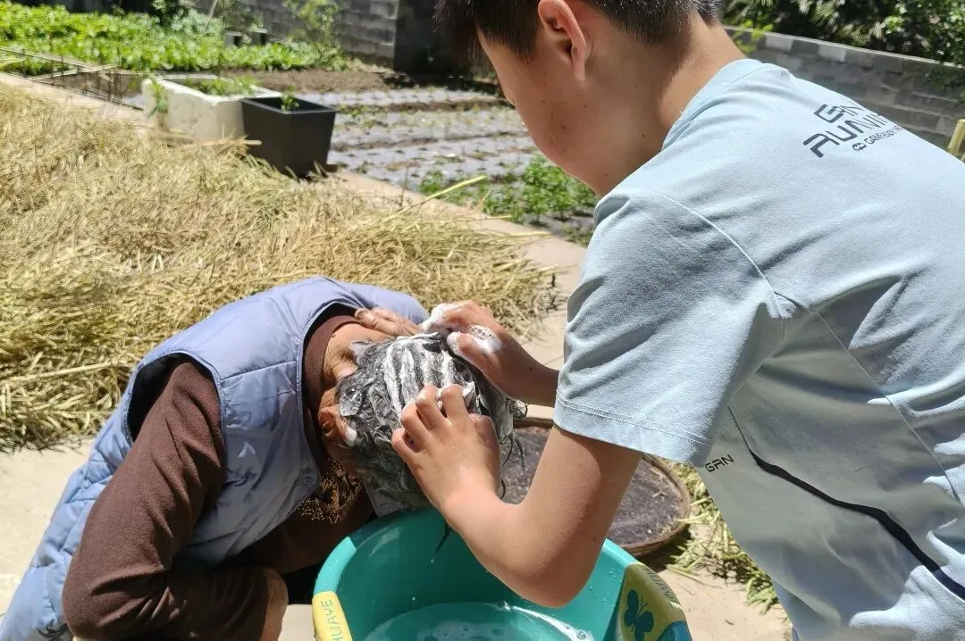 传劳动之美,承青年之志,赴中考之约||凉铭实外初中部“一班一品”班级文化建设评比活动纪实 第44张 传劳动之美,承青年之志,赴中考之约||凉铭实外初中部“一班一品”班级文化建设评比活动纪实 第44张