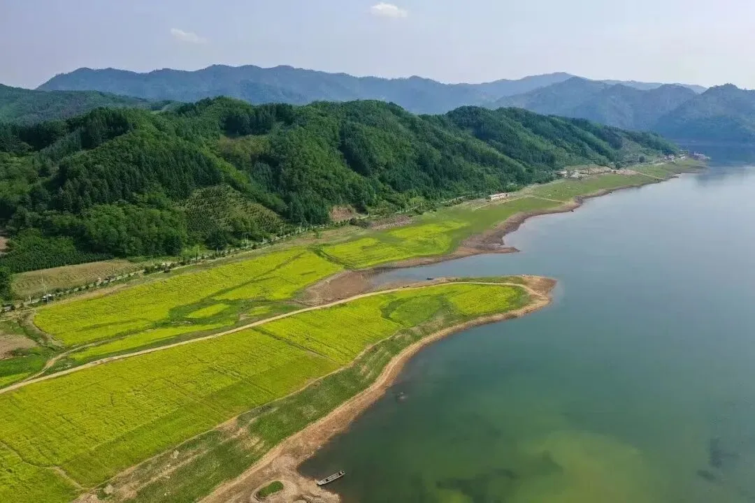 合肥市42中2026年中考二模数学试卷及答案 第6张