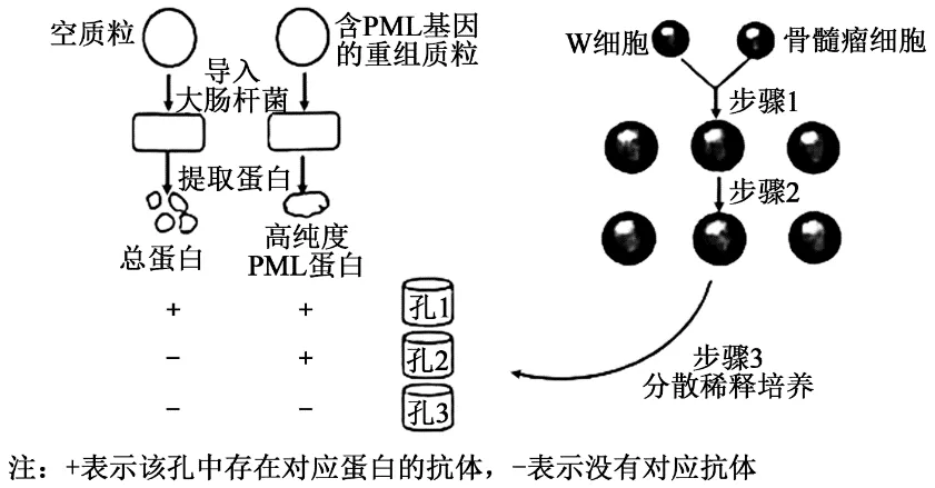 2025年贵州省高考生物学真题和答案(附各省下载) ⊙ 第11张