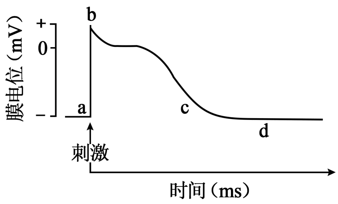 2025年贵州省高考生物学真题和答案(附各省下载) ⊙ 第14张