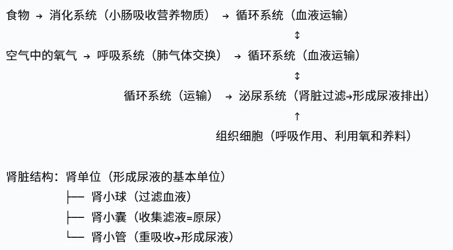 2026湖南中考生物开卷,高频考点笔记 第1张