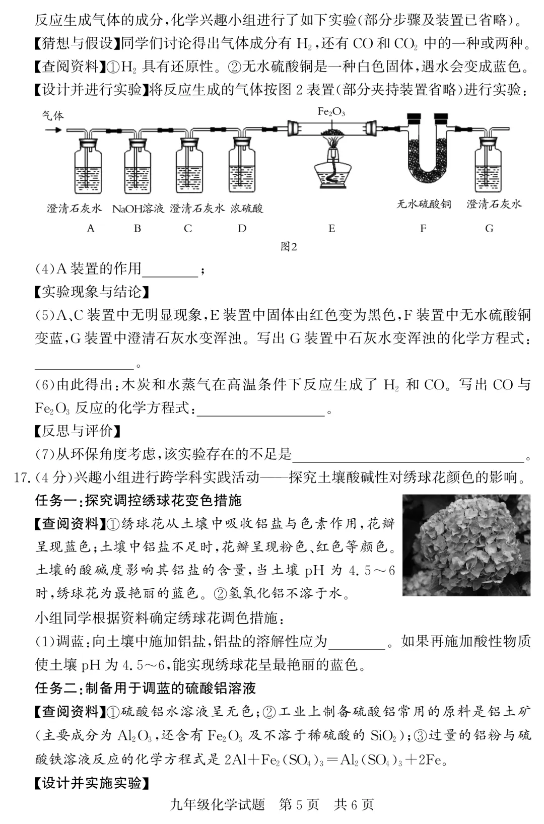 2026年中考模拟考试化学试题28 第5张