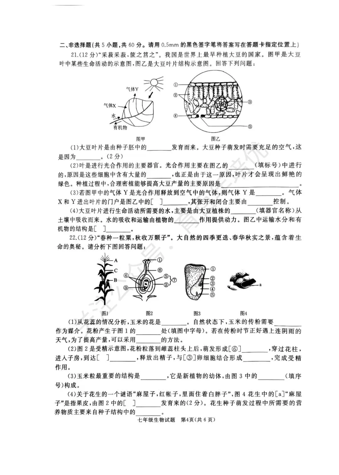 【滕州期末真题】2025年滕州市七年级下学期期末生物真题含答案 第5张