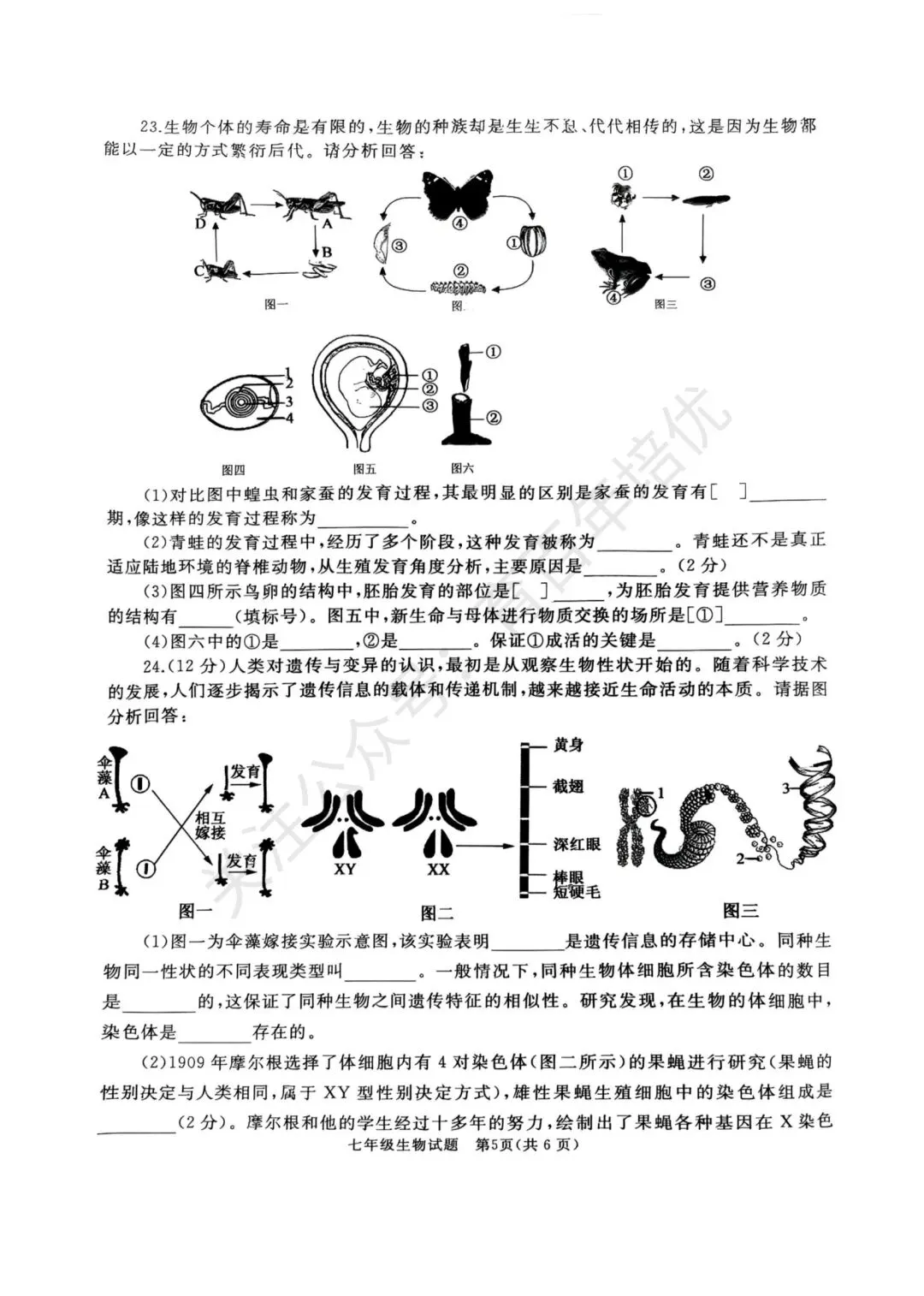 【滕州期末真题】2025年滕州市七年级下学期期末生物真题含答案 第6张