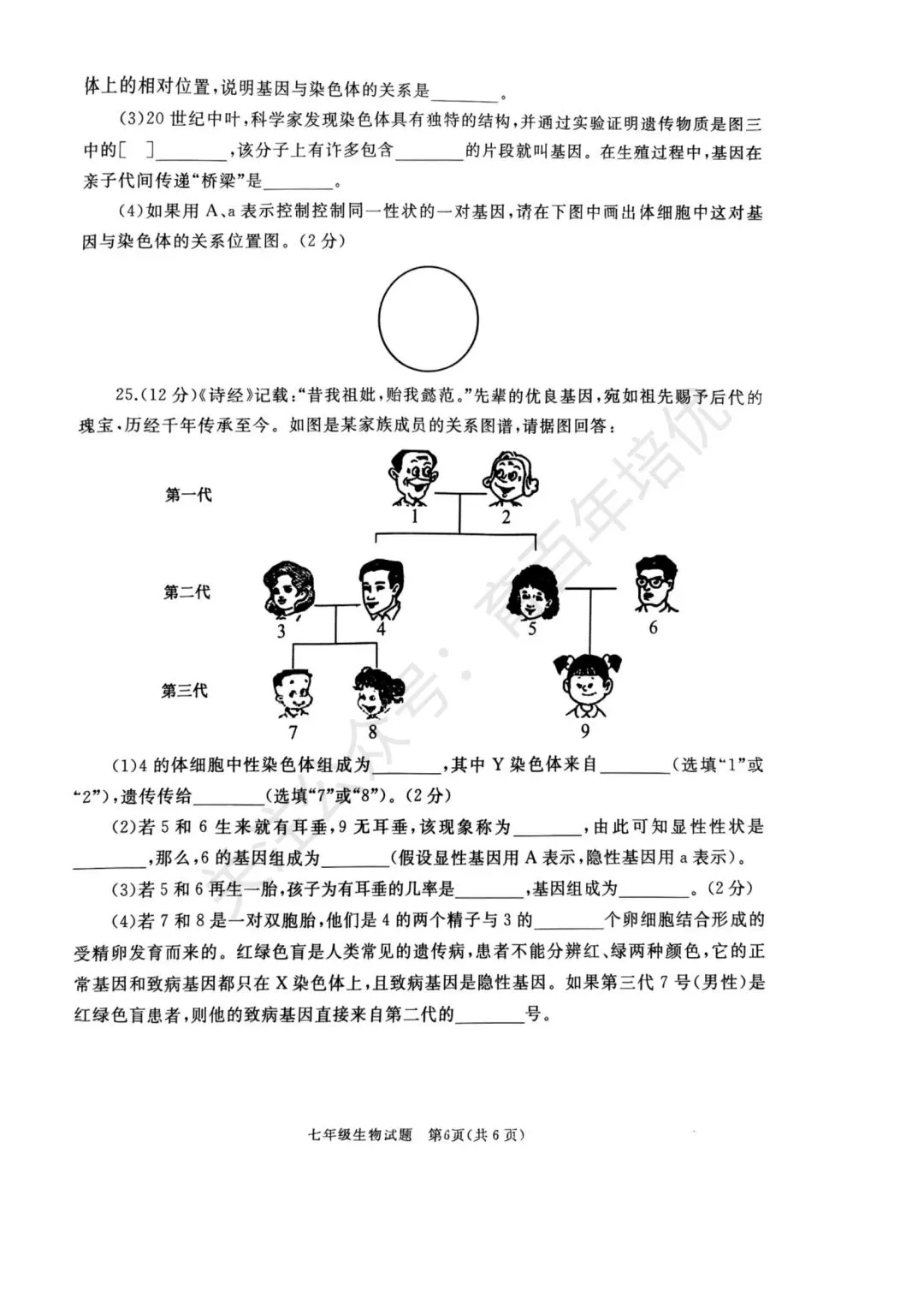 【滕州期末真题】2025年滕州市七年级下学期期末生物真题含答案 第7张