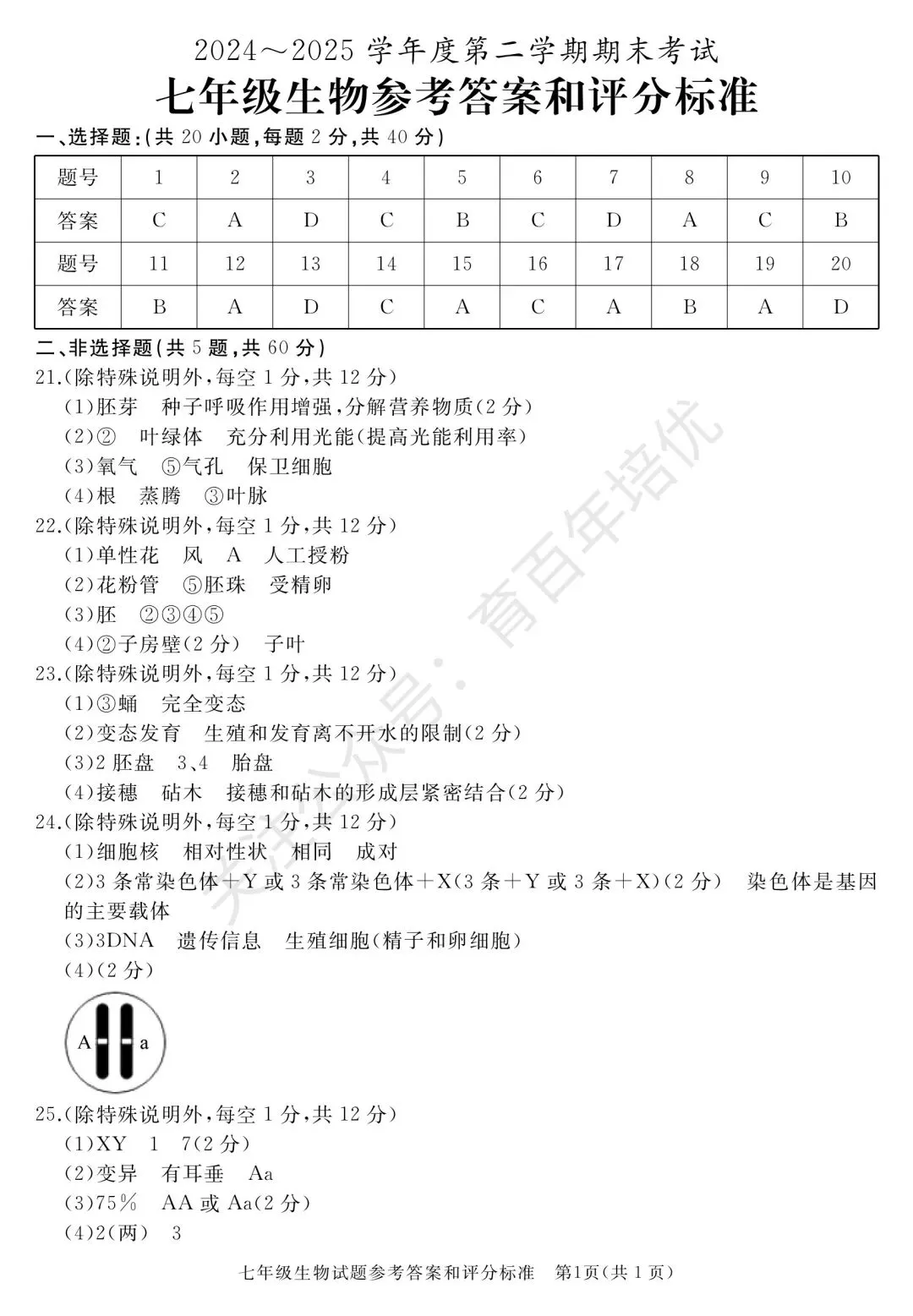 【滕州期末真题】2025年滕州市七年级下学期期末生物真题含答案 第8张