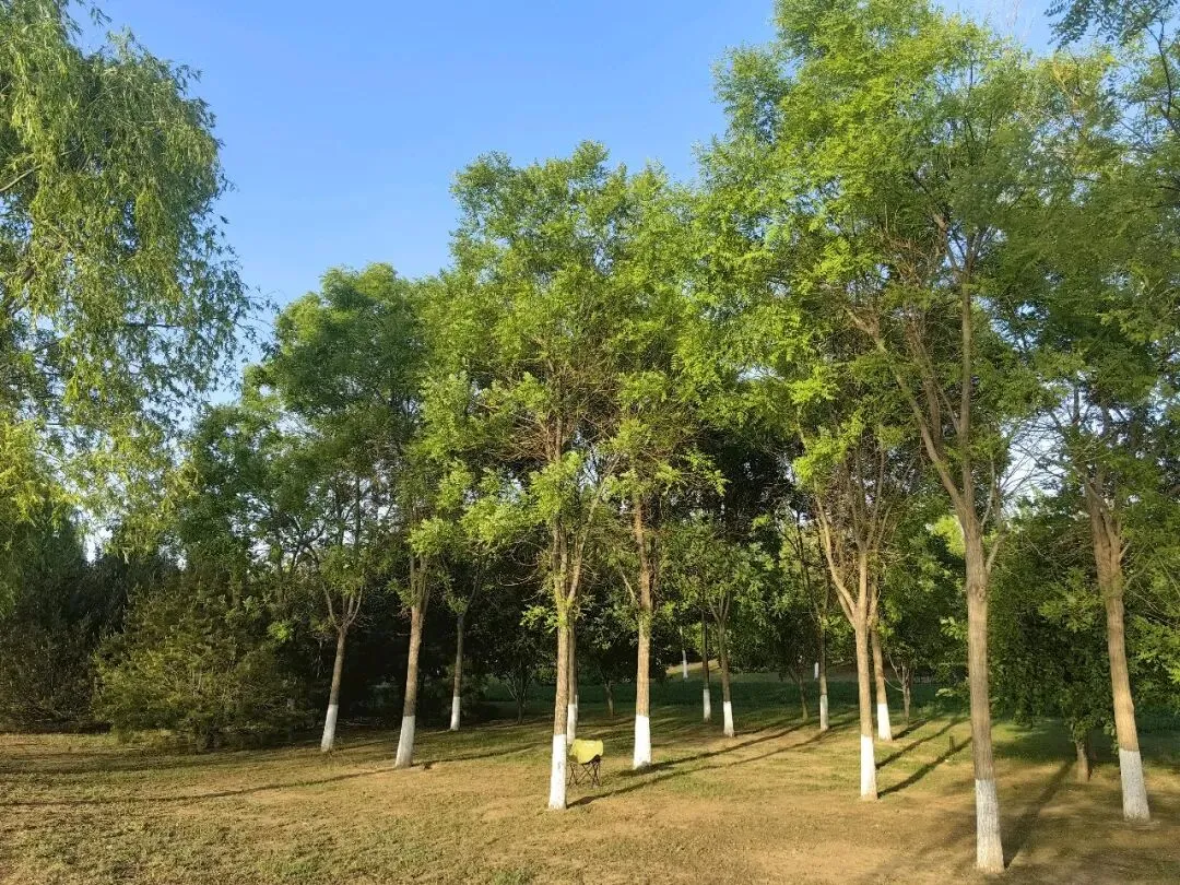 【中考模拟】2026山西省初中学业水平测试信息卷英语试卷·全科下载 第14张