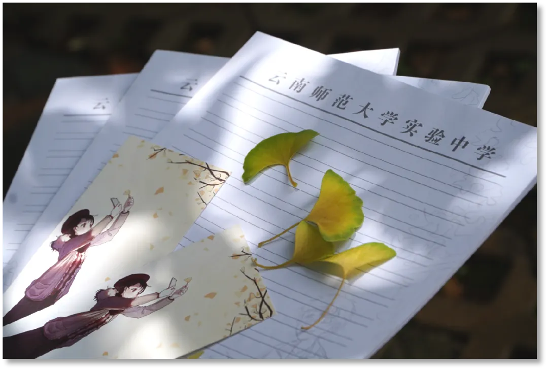 昆明中考:云南师范大学实验中学2026普高艺术班招生简章 第60张