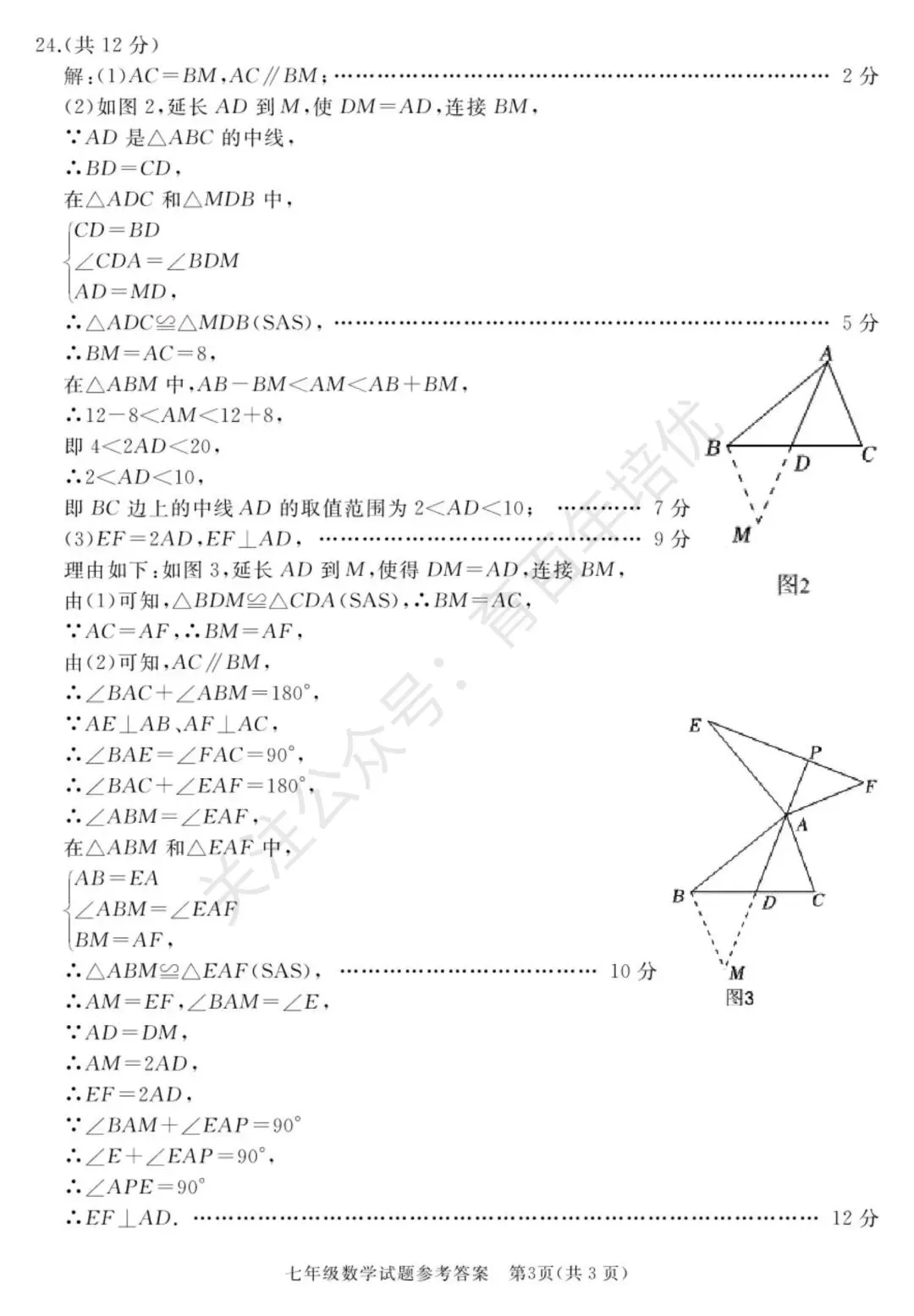 【滕州期末真题】2024年滕州市七年级下学期期末数学真题含答案 第8张