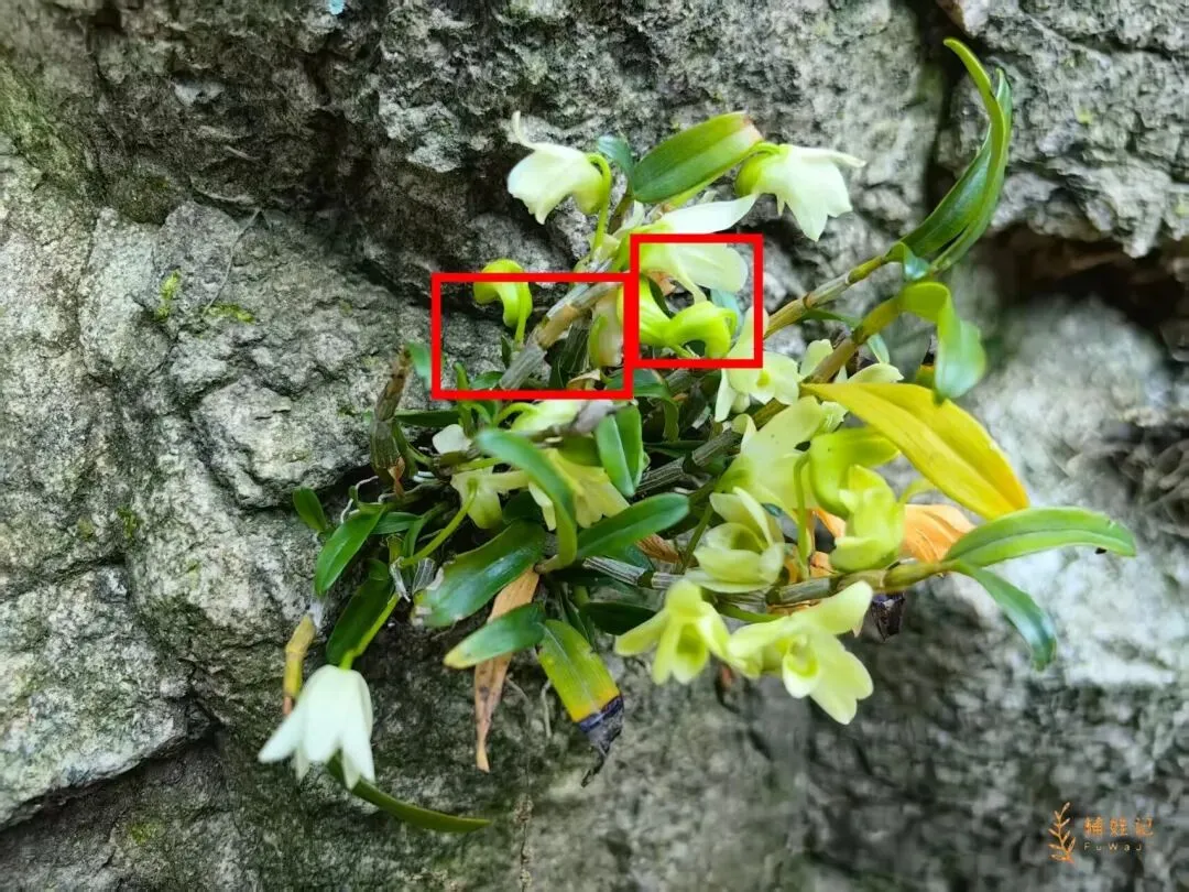 能有多重要?!娃中考生物会考操作周第一天,我就只想往外跑... 第15张