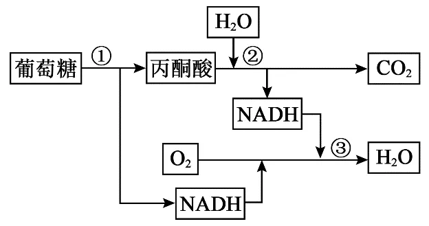 2025年黑吉辽蒙高考生物学真题和答案(附各省下载) ⊙ 第10张