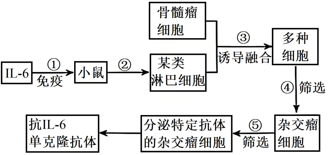 2025年黑吉辽蒙高考生物学真题和答案(附各省下载) ⊙ 第13张