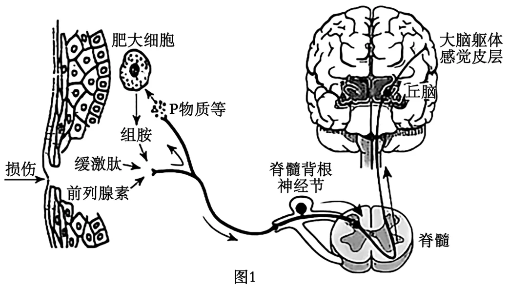 2025年黑吉辽蒙高考生物学真题和答案(附各省下载) ⊙ 第15张