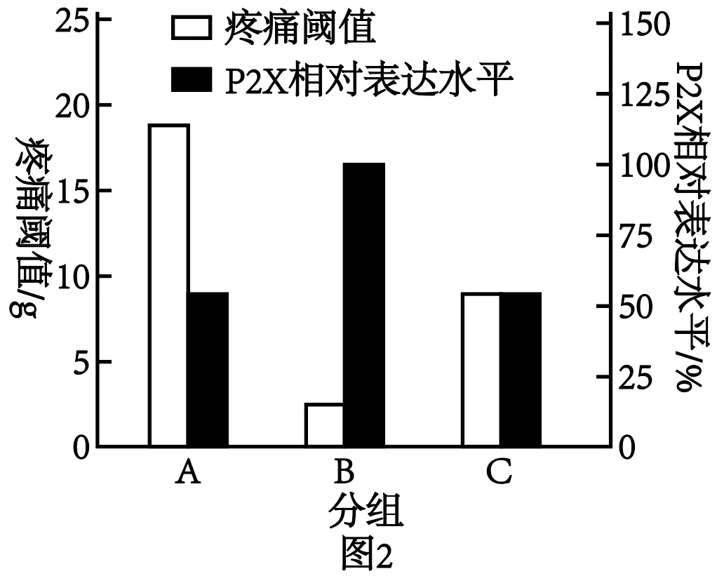 2025年黑吉辽蒙高考生物学真题和答案(附各省下载) ⊙ 第16张
