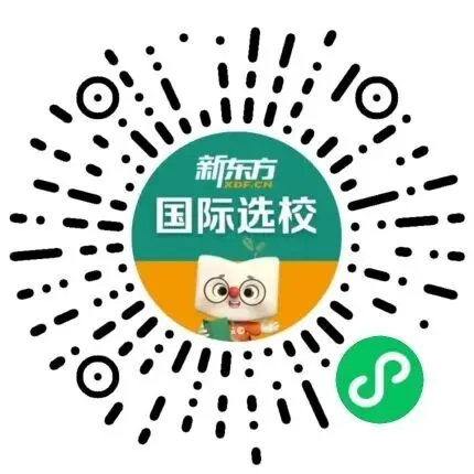 早上岸国际部1+3项目,还要继续补中考内容吗? 第9张 早上岸国际部1+3项目,还要继续补中考内容吗? 第9张