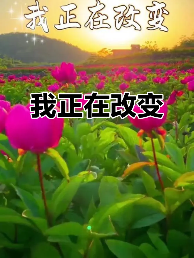 2026中考作文模拟题及范文:改变(2026中考终极押题作文资料助你提分!八年连中!,你说中不中!) 第4张