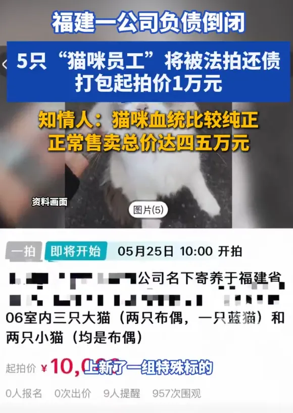 百度热搜:17岁高中女生凌晨外出复印试卷失联 第7张